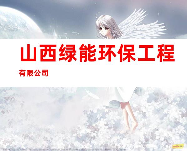 山西绿能环保工程有限公司
