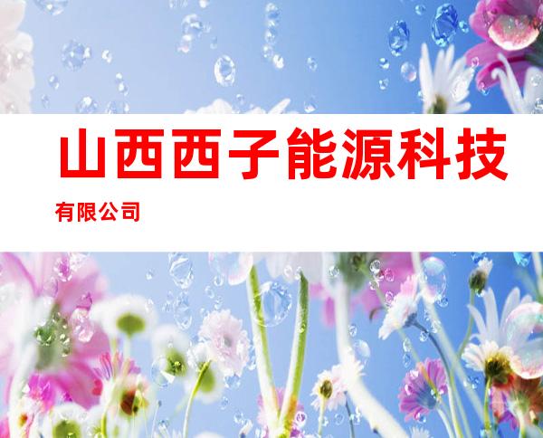 山西西子能源科技有限公司