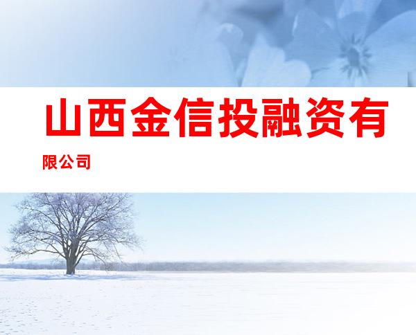 山西金信投融资有限公司