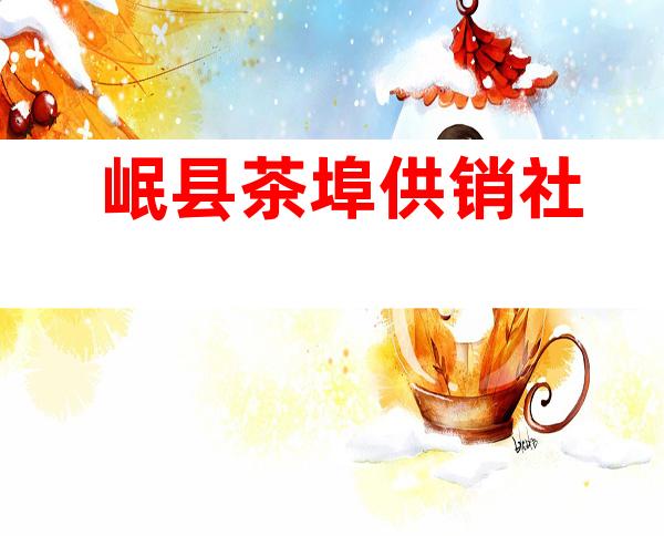 岷县茶埠供销社