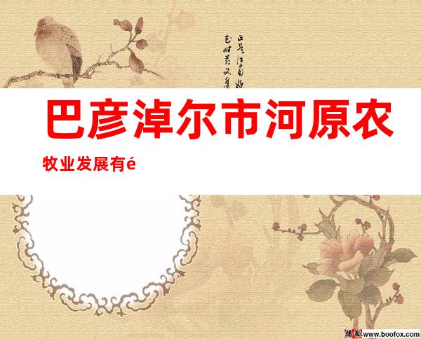 巴彦淖尔市河原农牧业发展有限责任公司