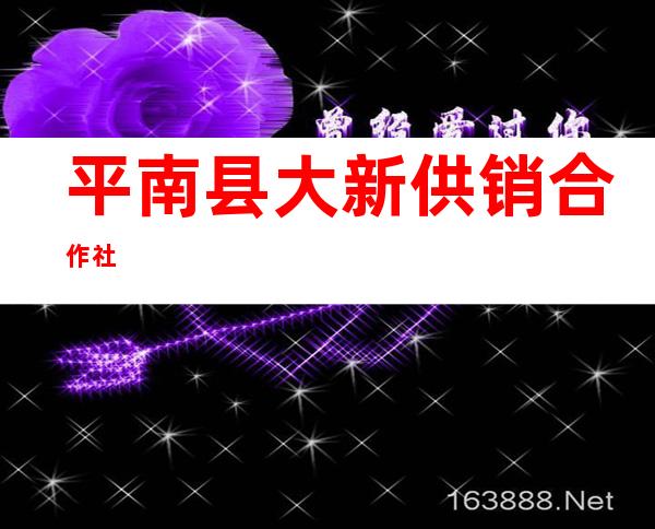 平南县大新供销合作社