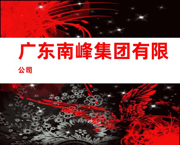广东南峰集团有限公司