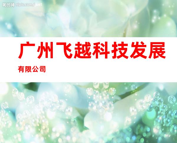 广州飞越科技发展有限公司