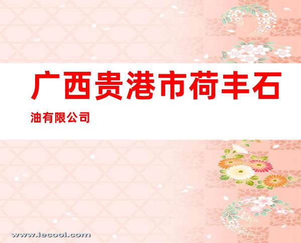 广西贵港市荷丰石油有限公司
