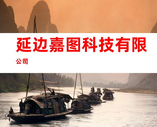 延边嘉图科技有限公司