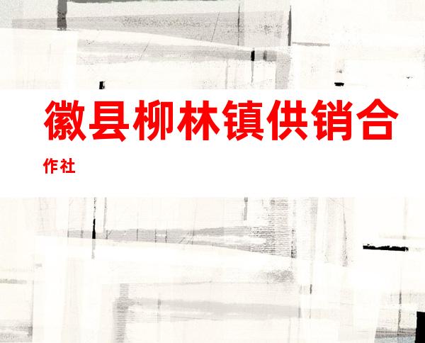 徽县柳林镇供销合作社
