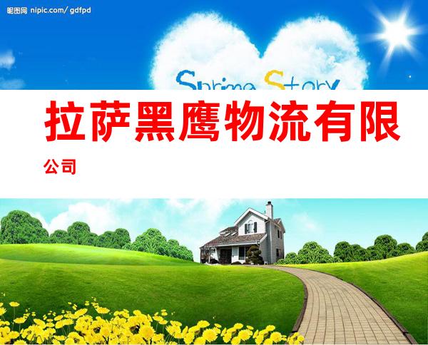 拉萨黑鹰物流有限公司