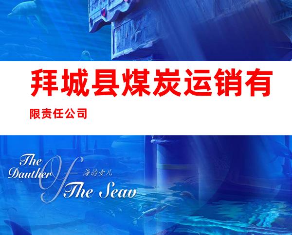 拜城县煤炭运销有限责任公司