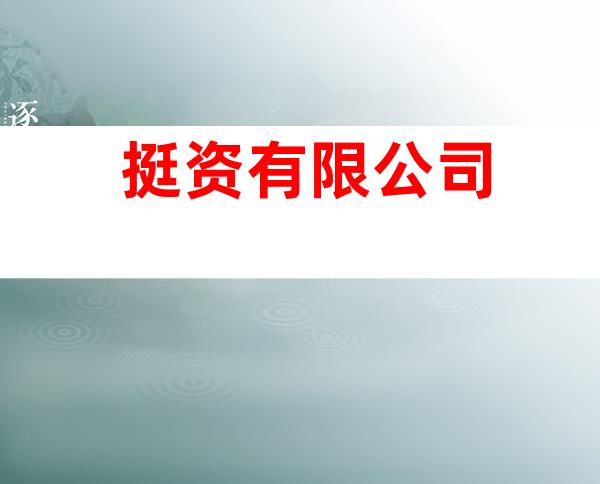 挺资有限公司