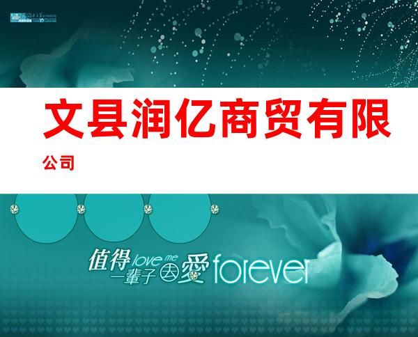 文县润亿商贸有限公司