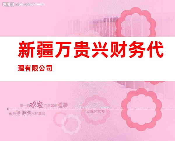 新疆万贵兴财务代理有限公司