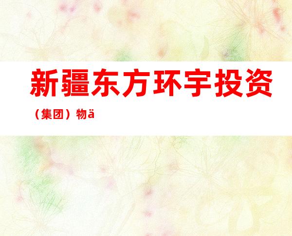 新疆东方环宇投资（集团）物业服务有限公司