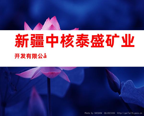 新疆中核泰盛矿业开发有限公司