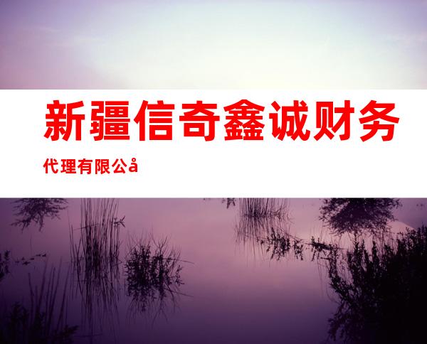 新疆信奇鑫诚财务代理有限公司
