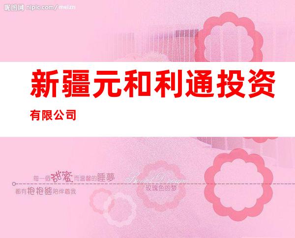 新疆元和利通投资有限公司