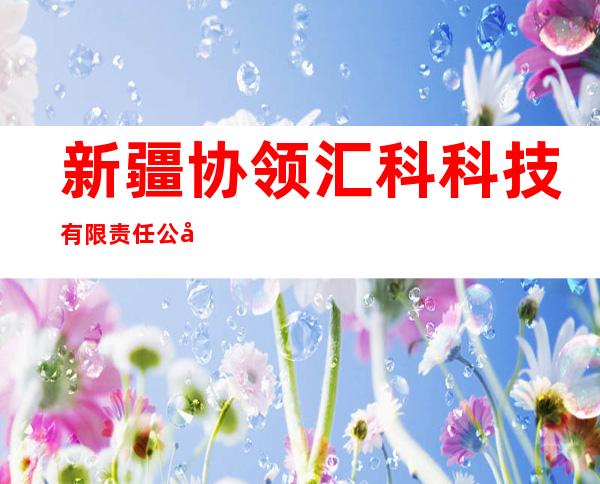 新疆协领汇科科技有限责任公司