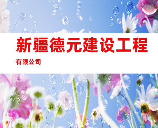 新疆德元建设工程有限公司