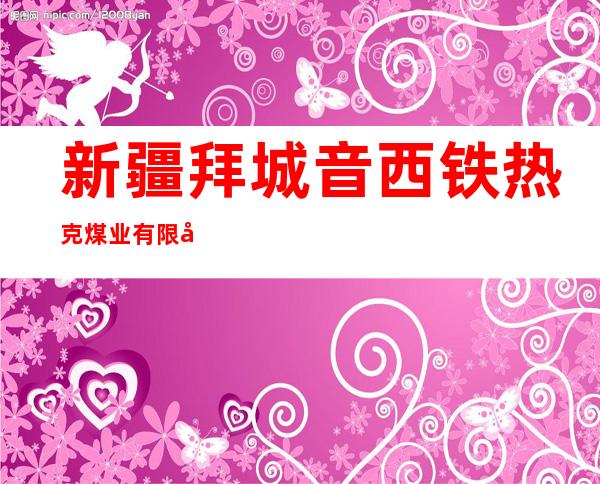 新疆拜城音西铁热克煤业有限公司