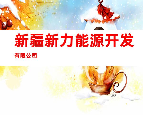 新疆新力能源开发有限公司