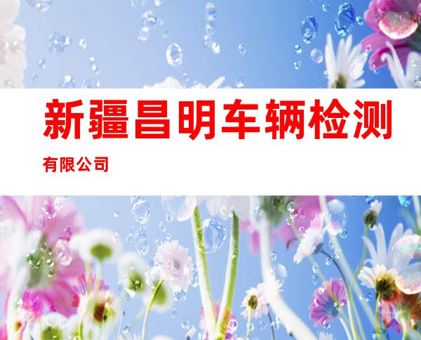 新疆昌明车辆检测有限公司