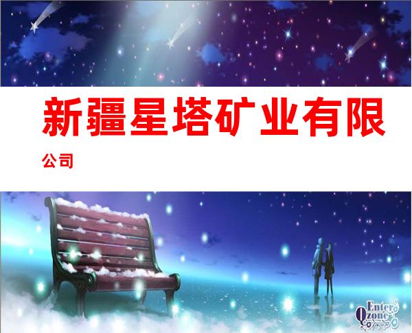 新疆星塔矿业有限公司
