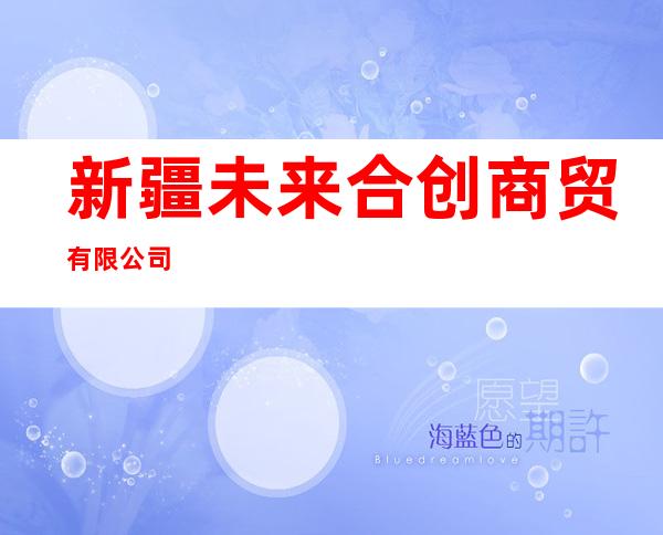 新疆未来合创商贸有限公司