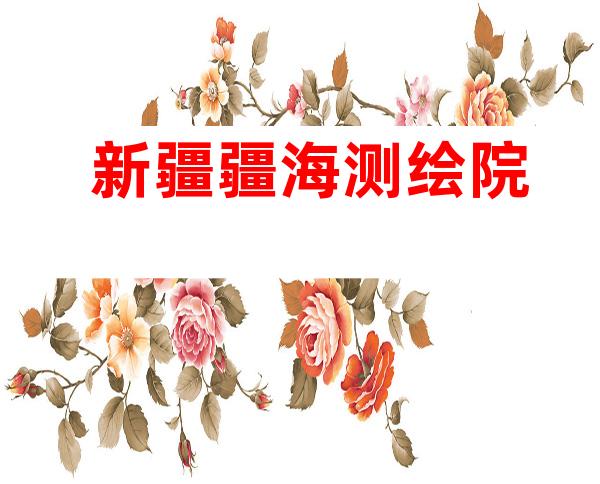 新疆疆海测绘院