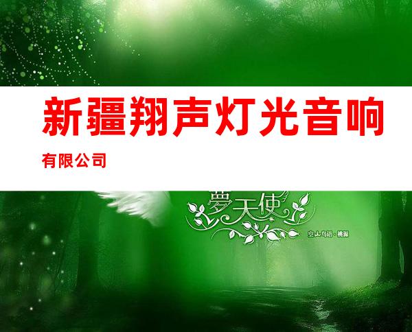 新疆翔声灯光音响有限公司