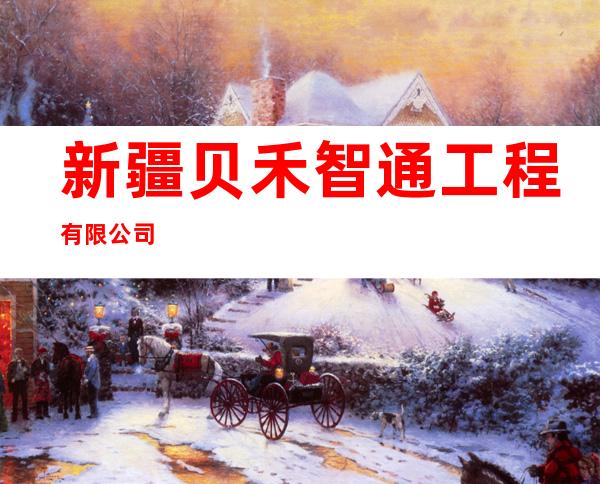 新疆贝禾智通工程有限公司