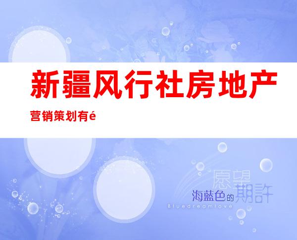 新疆风行社房地产营销策划有限公司