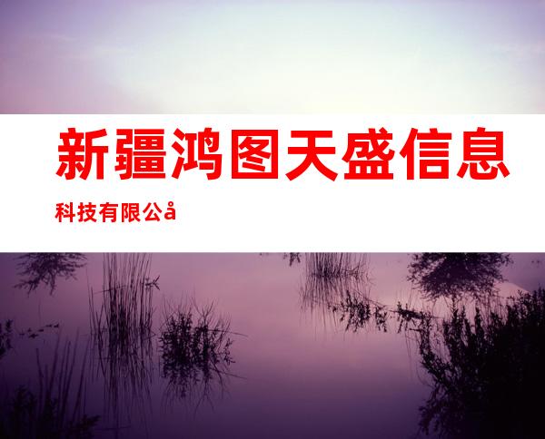 新疆鸿图天盛信息科技有限公司