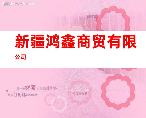 新疆鸿鑫商贸有限公司