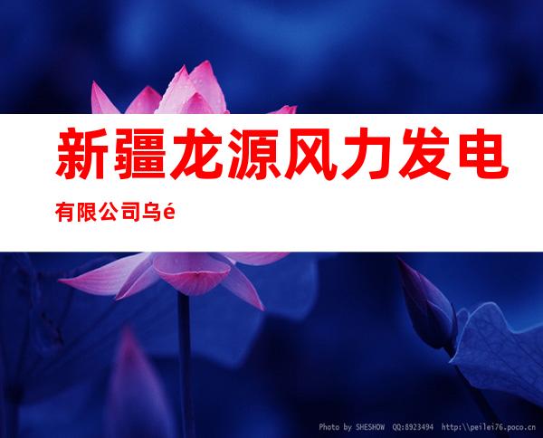 新疆龙源风力发电有限公司乌鲁木齐分公司