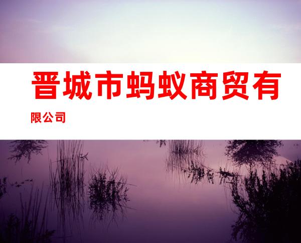 晋城市蚂蚁商贸有限公司