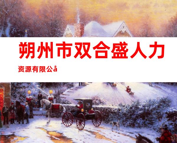 朔州市双合盛人力资源有限公司