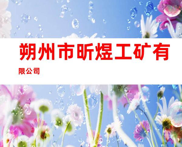 朔州市昕煜工矿有限公司