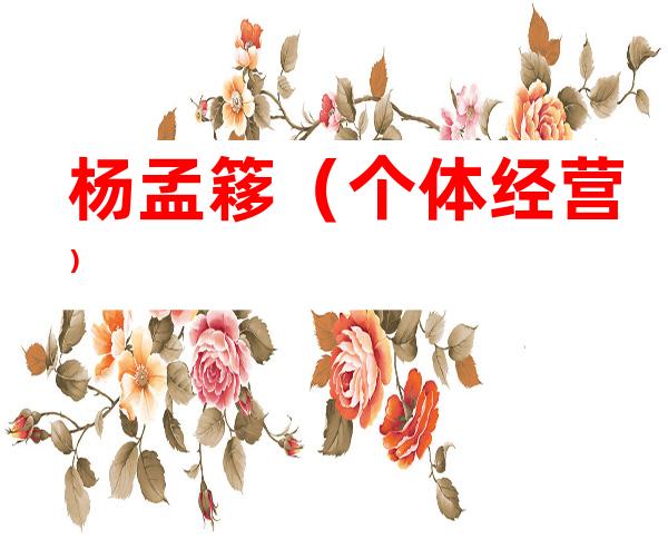 杨孟簃（个体经营）