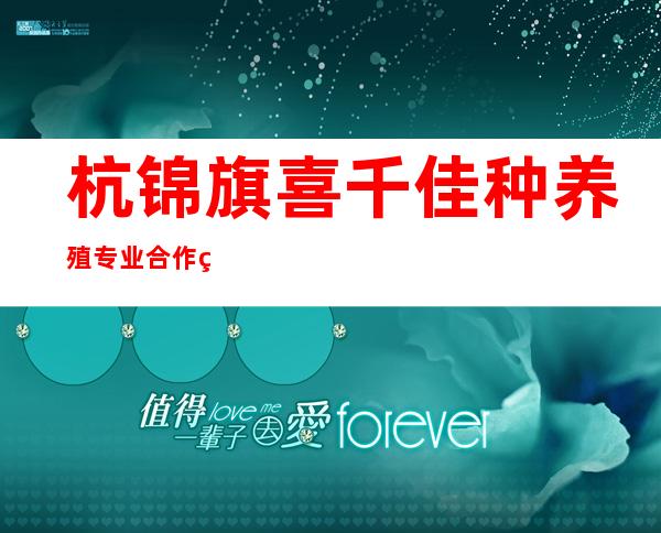 杭锦旗喜千佳种养殖专业合作社