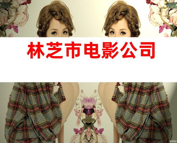 林芝市电影公司