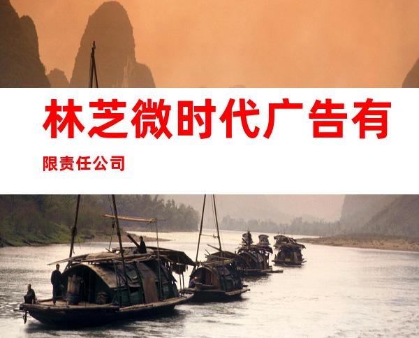 林芝微时代广告有限责任公司