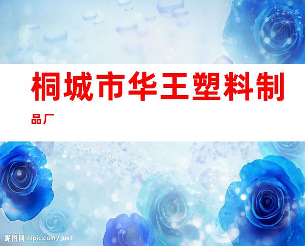 桐城市华王塑料制品厂