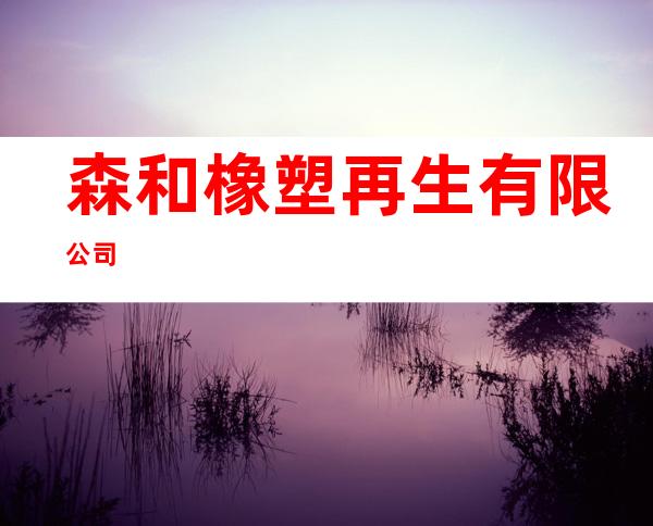 森和橡塑再生有限公司