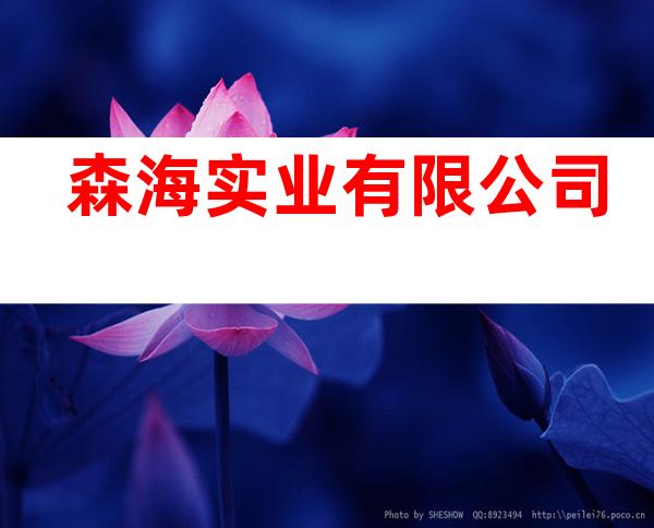 森海实业有限公司