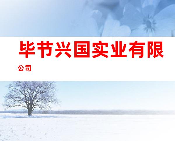 毕节兴国实业有限公司