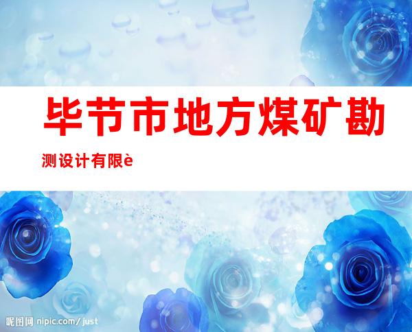 毕节市地方煤矿勘测设计有限责任公司