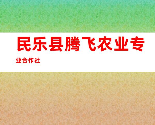 民乐县腾飞农业专业合作社