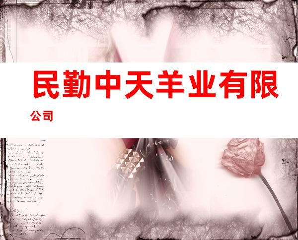 民勤中天羊业有限公司