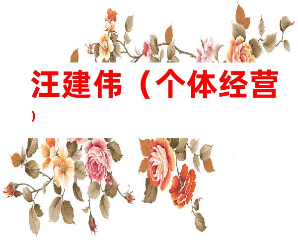 汪建伟（个体经营）