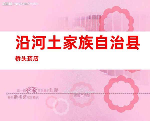 沿河土家族自治县桥头药店